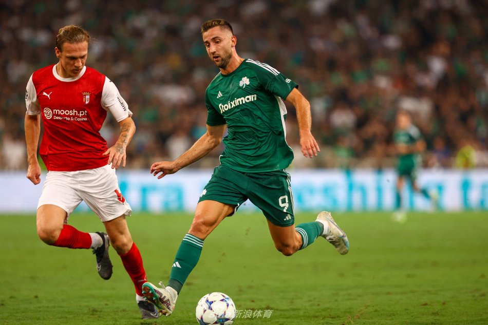 一个庞大的 一个庞大的